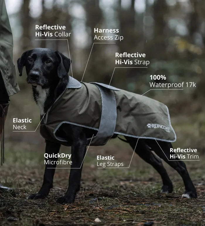 Reincoat Dog Coat
