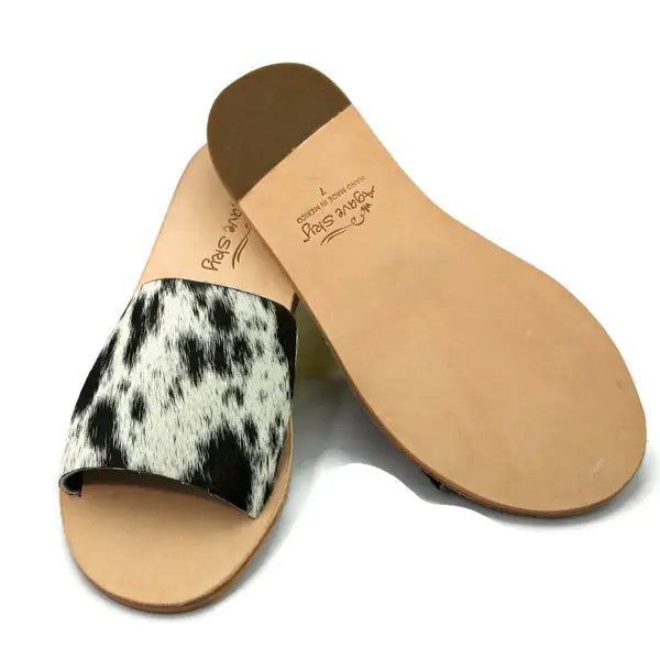 the 'hank' slides