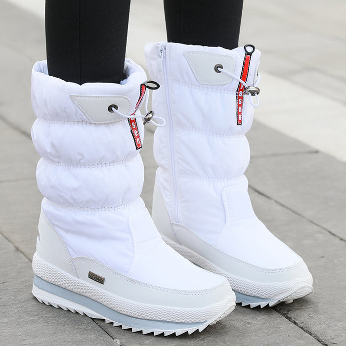 White / 31