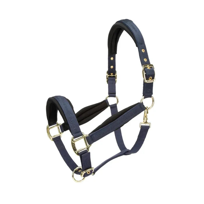 Arma Padded Headcollar