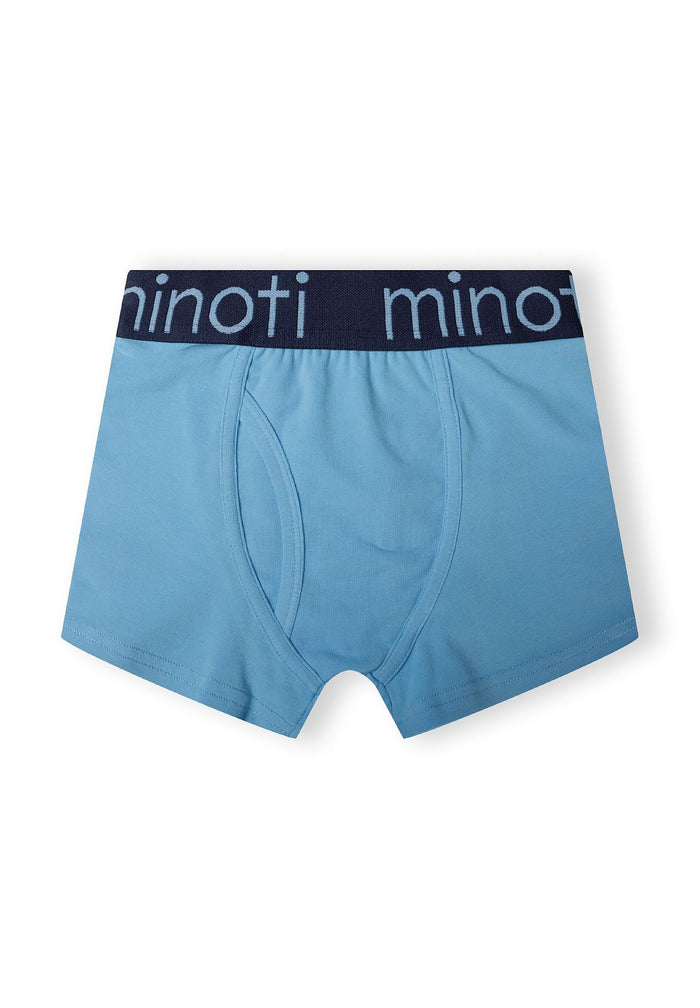 Trunks 10-Pack, Blue Mix, Branded Waistband - 2