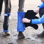 Cyrochaps Stablechaps