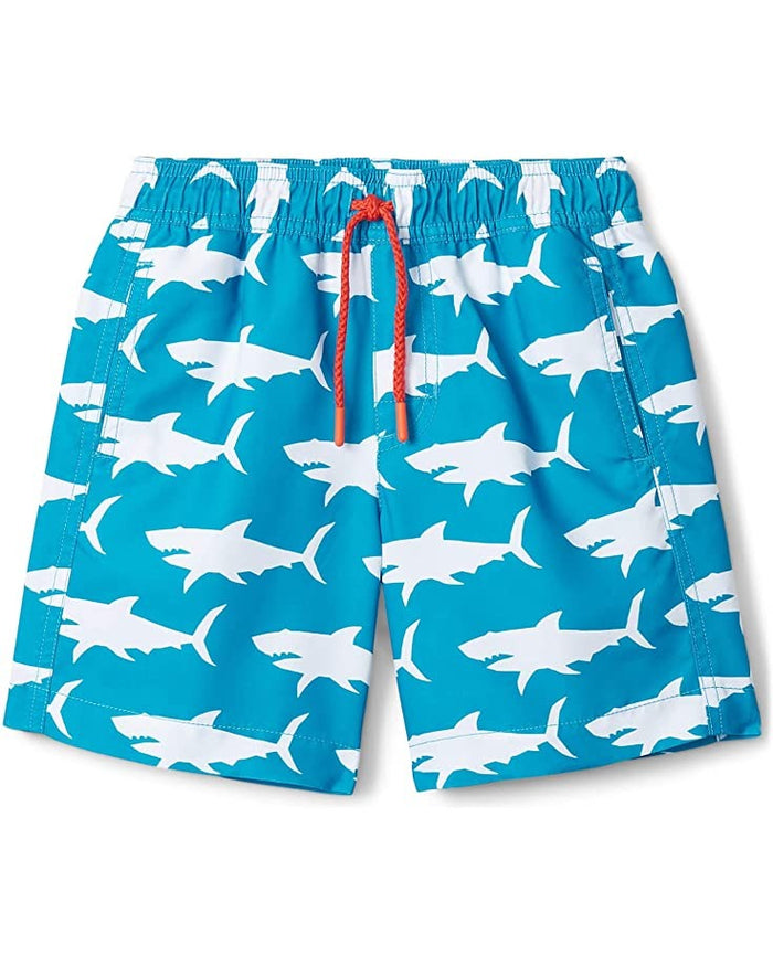Hungry Sharks Swim Trucks