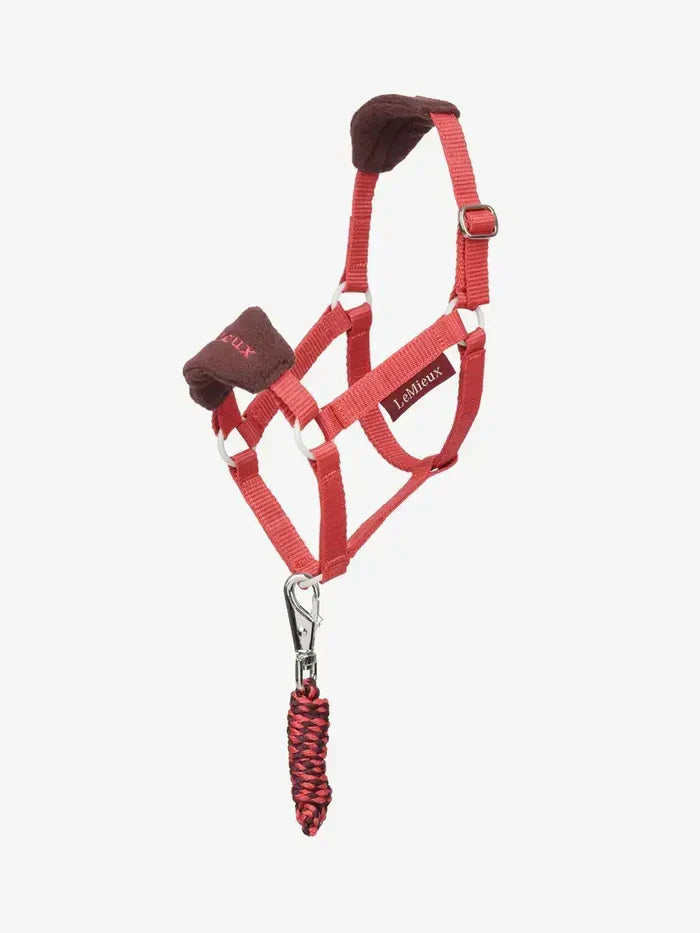 LeMieux AW25 Hobby Horse Vogue Headcollar & Leadrope