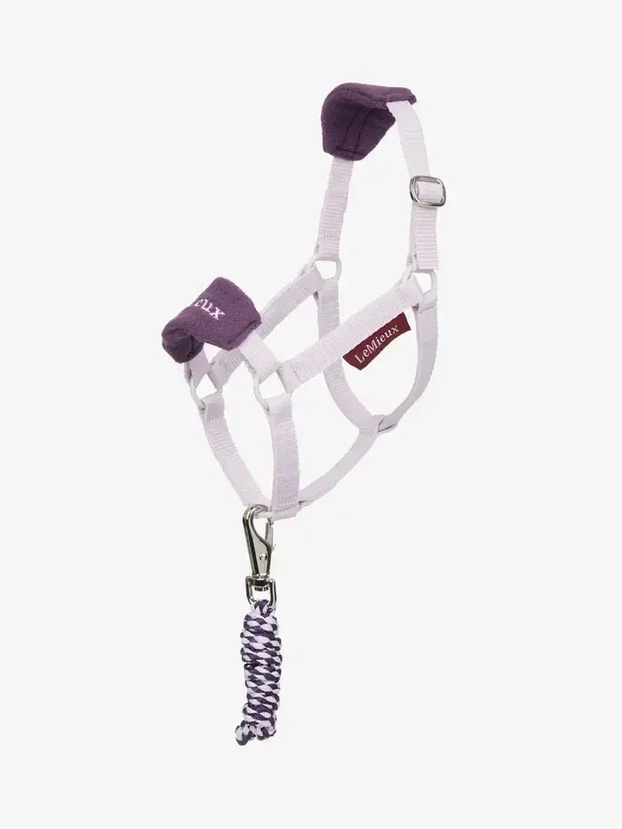 LeMieux AW25 Hobby Horse Vogue Headcollar & Leadrope