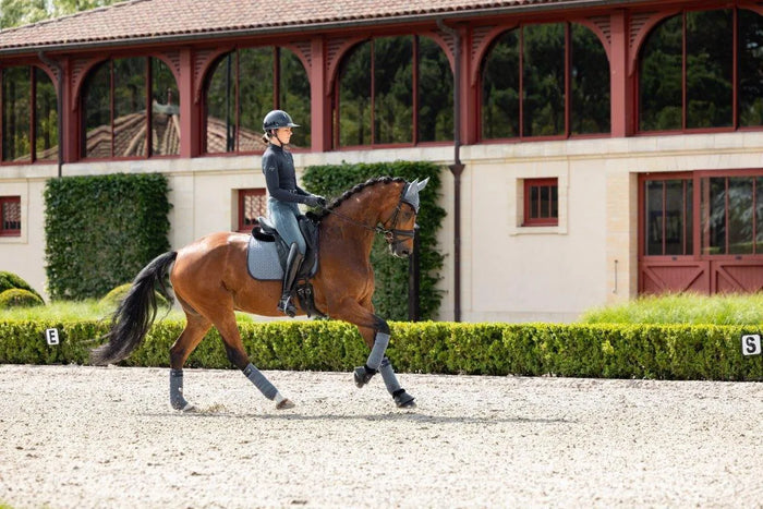 LeMieux SS24 Classique Suede Dressage Square - Apricot - Large