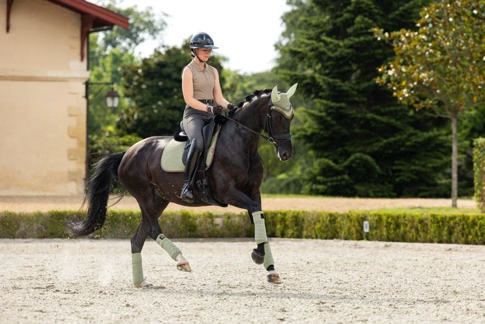 LeMieux SS24 Classique Suede Dressage Square - Jay Blue - Large