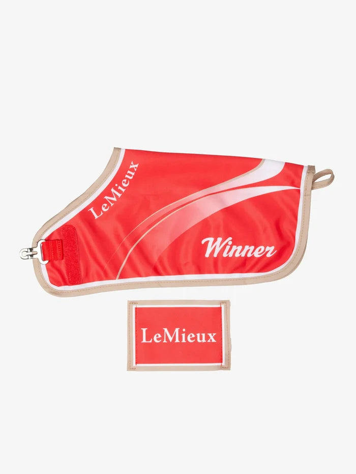 LeMieux SS25 Toy Pony Winners Rug