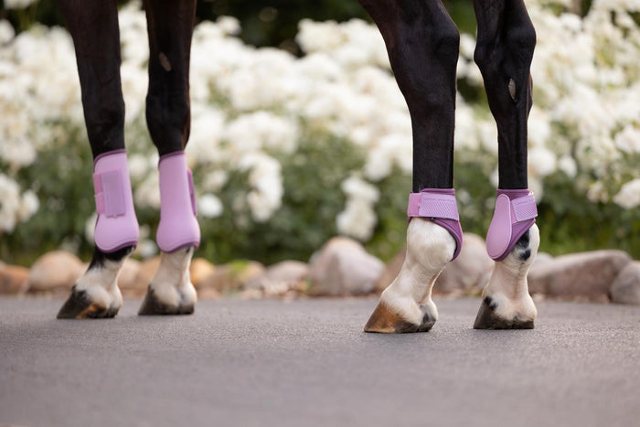 LeMieux SS26 Arika Fetlock Boot