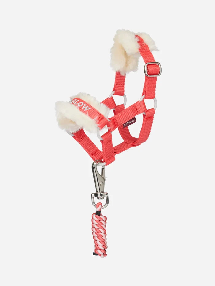 LeMieux SS26 Harlow Toy Pony Headcollar & Leadrope