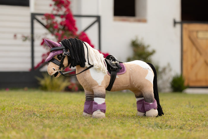 LeMieux SS26 Toy Pony