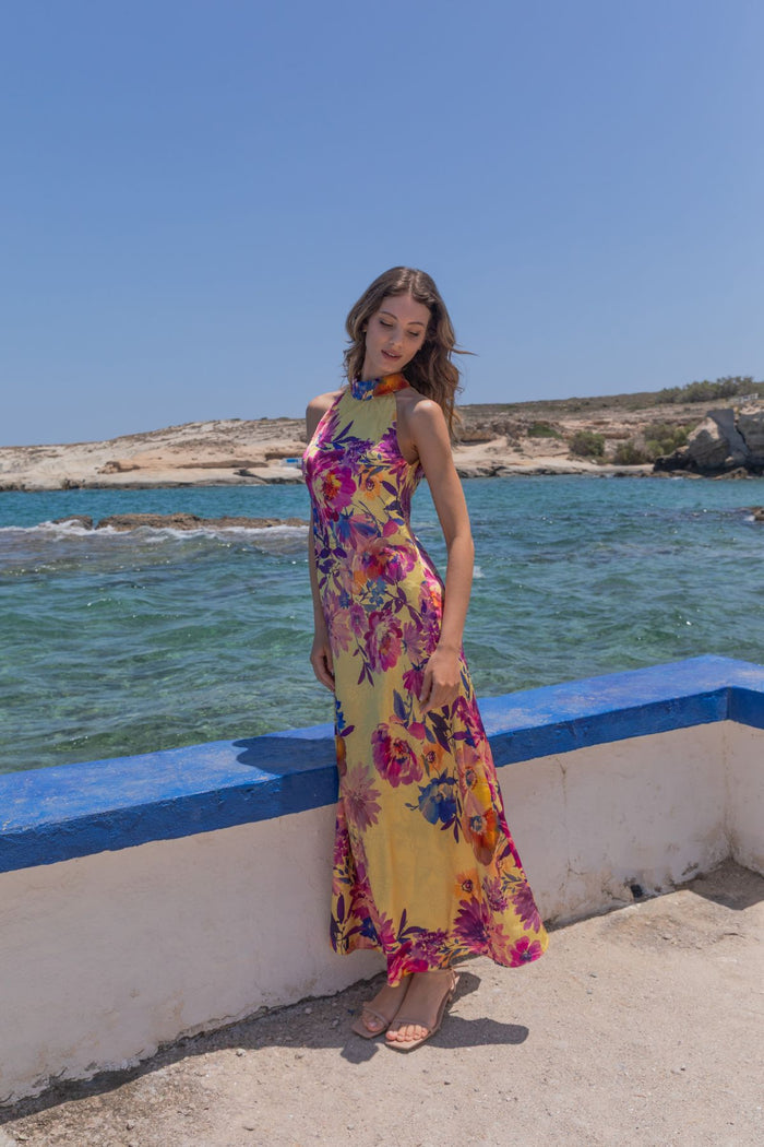 Womens Mia Pleated Maxi Dress Multicolor 595ka116