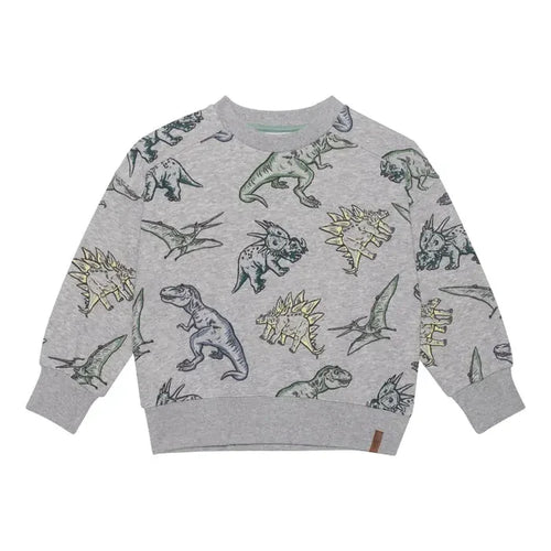 Printed French Terry Sweatshirt