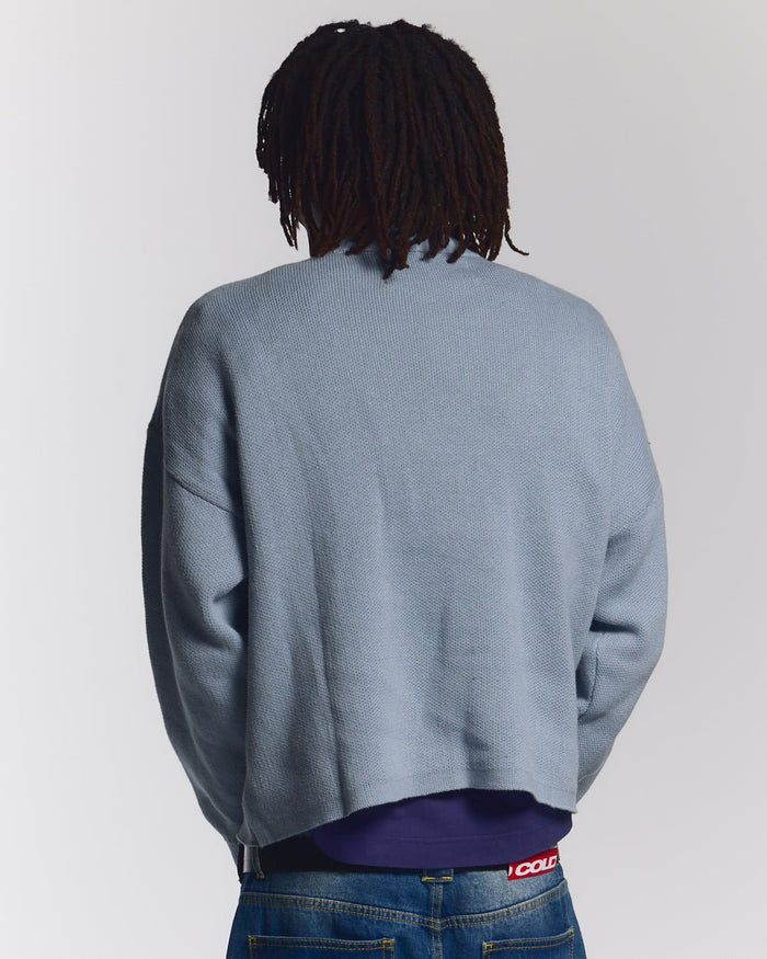 SPIDER KNIT LIGHT BLUE - light blue spider print knit sweater, back view on male model - Cold Culture #man
