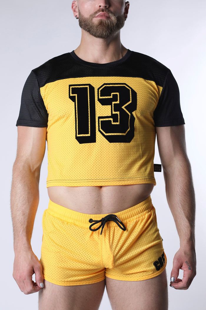 STARTER MESH CROP TOP