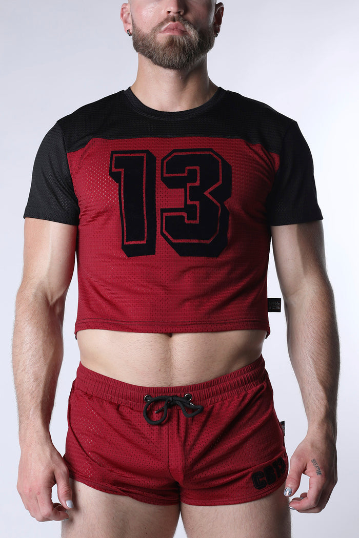 STARTER MESH CROP TOP