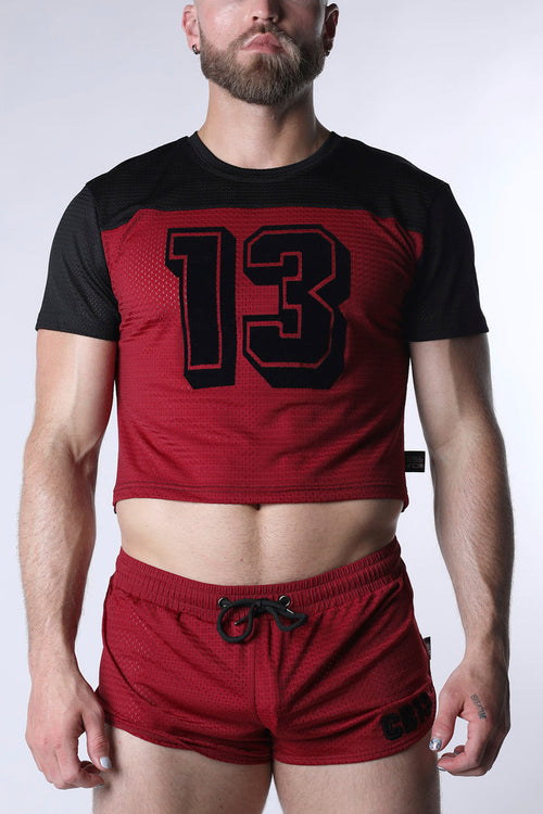 STARTER MESH CROP TOP
