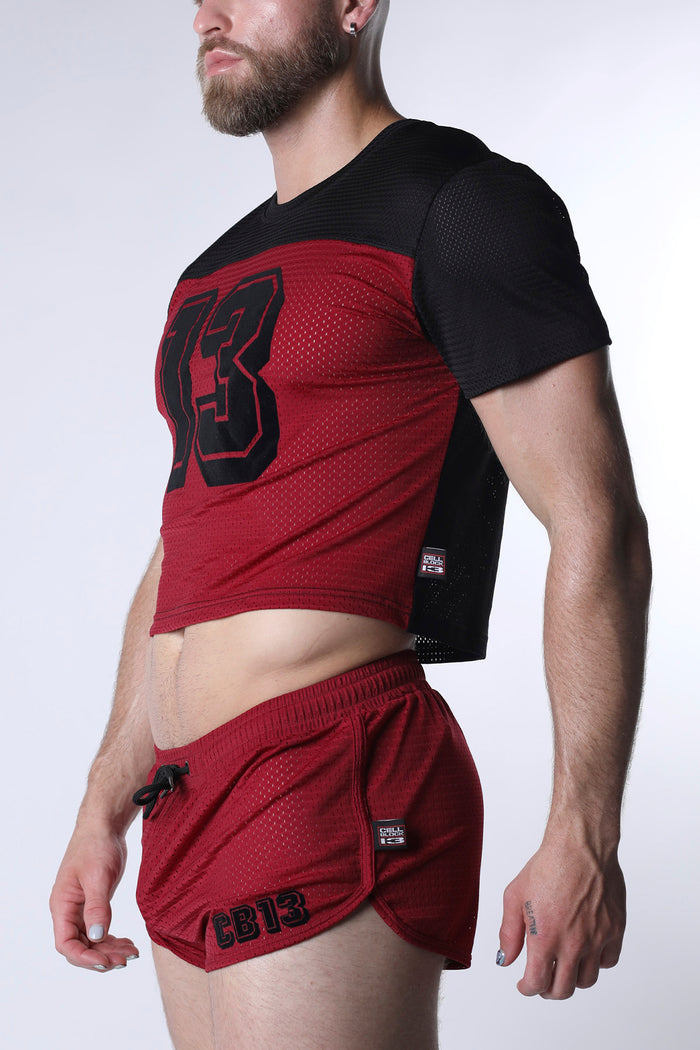 STARTER MESH CROP TOP