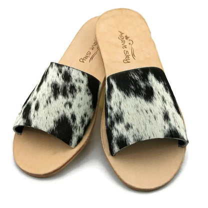 the 'hank' slides