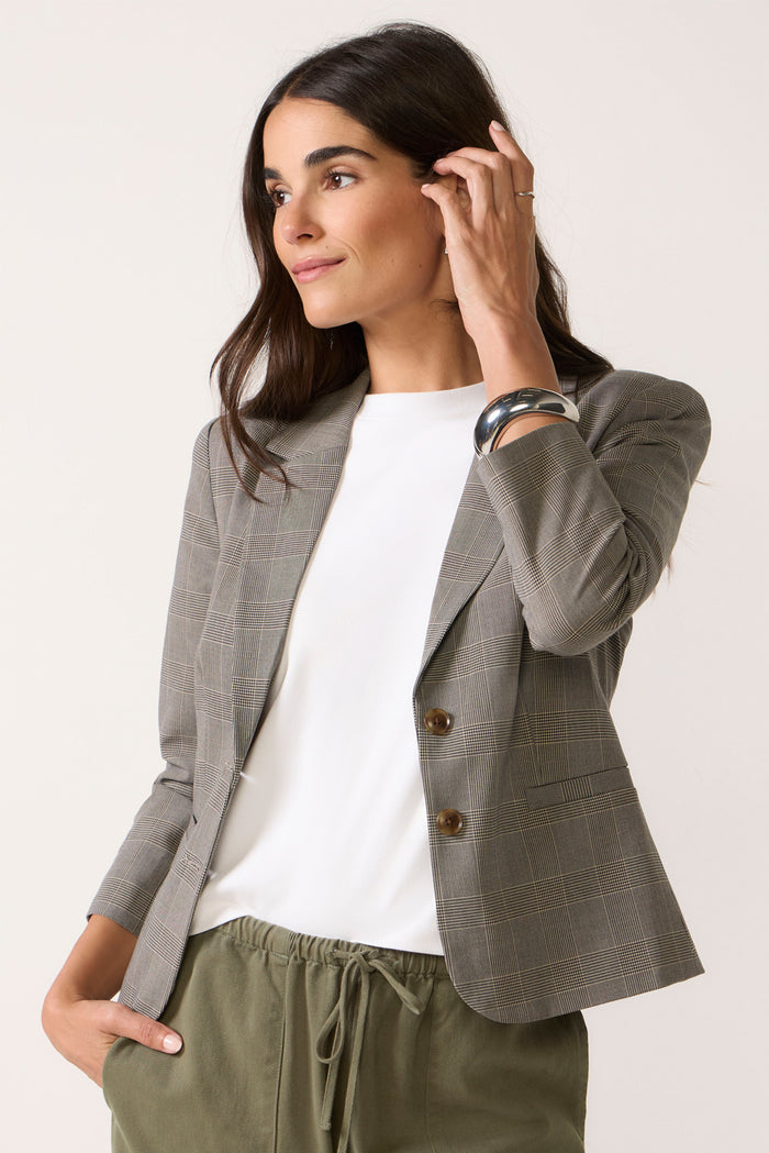 The Shrunken Blazer