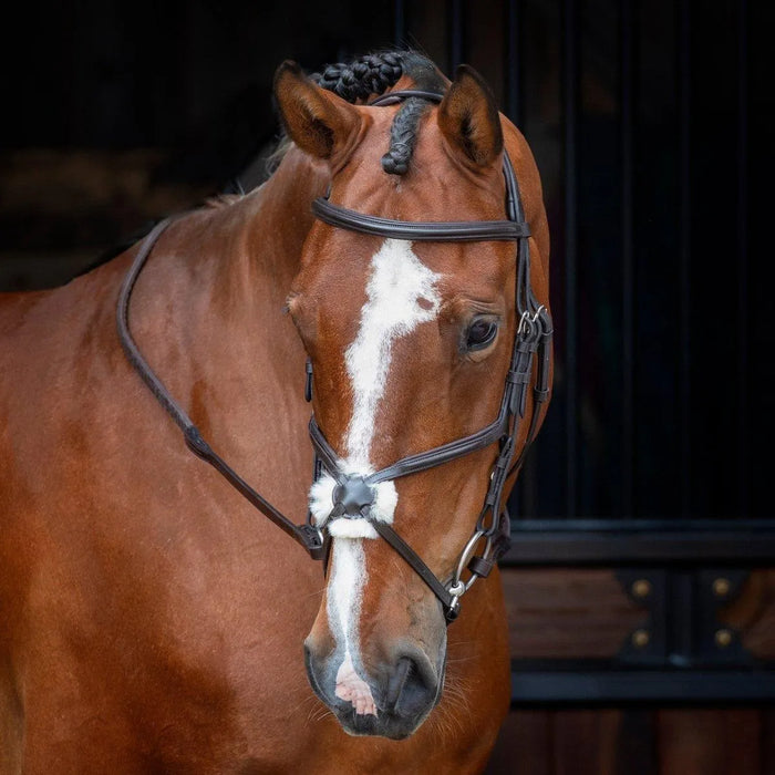 Velociti RAPIDA Grackle Bridle - Black - Cob