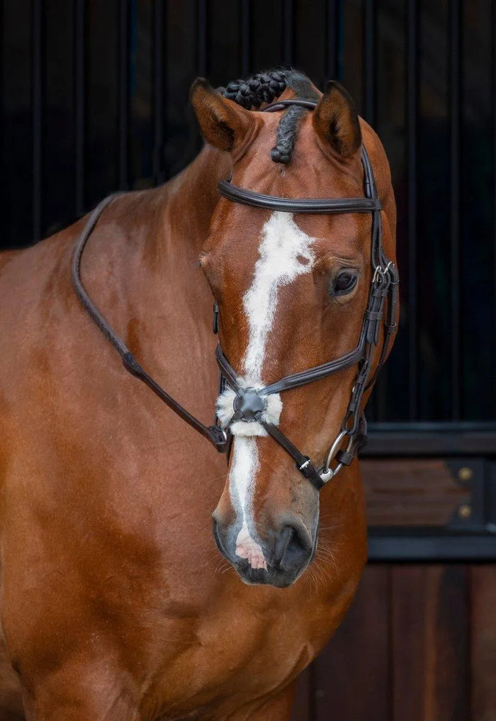 Velociti RAPIDA Grackle Bridle - Black - Cob