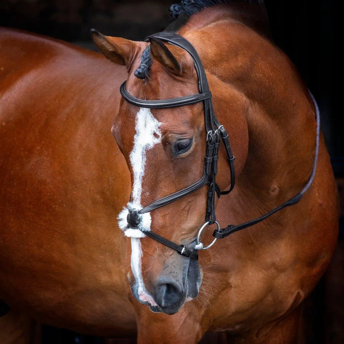 Velociti RAPIDA Grackle Bridle - Black - Cob