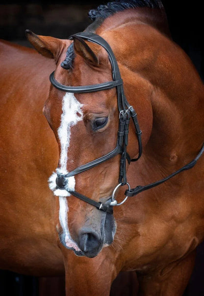 Velociti RAPIDA Grackle Bridle - Black - Cob