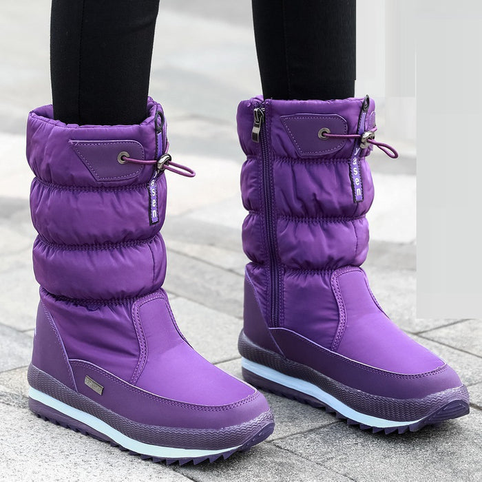 Purple / 31