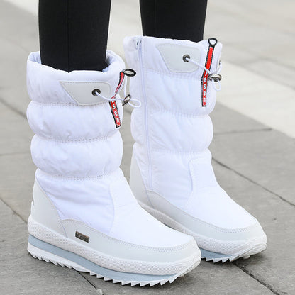 White / 31